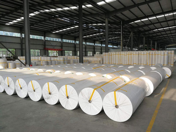 西充狭缝式涤纶纺粘无纺布